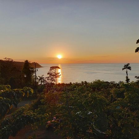 Bella Vista Corcovado Hotel Drakes Bay Eksteriør billede