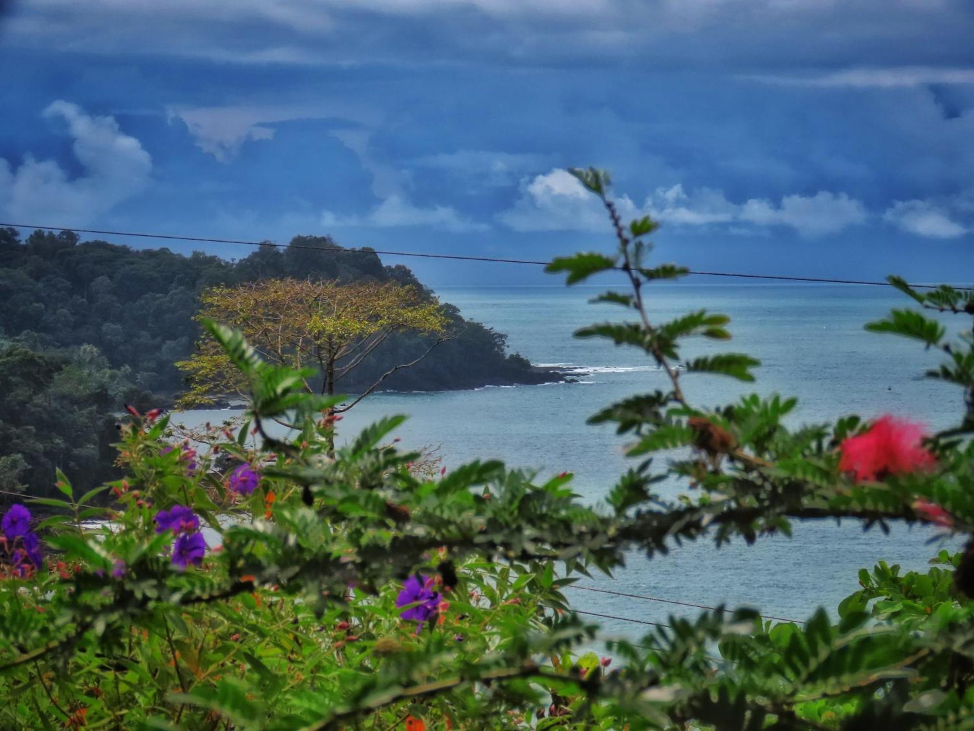 Bella Vista Corcovado Hotel Drakes Bay Eksteriør billede